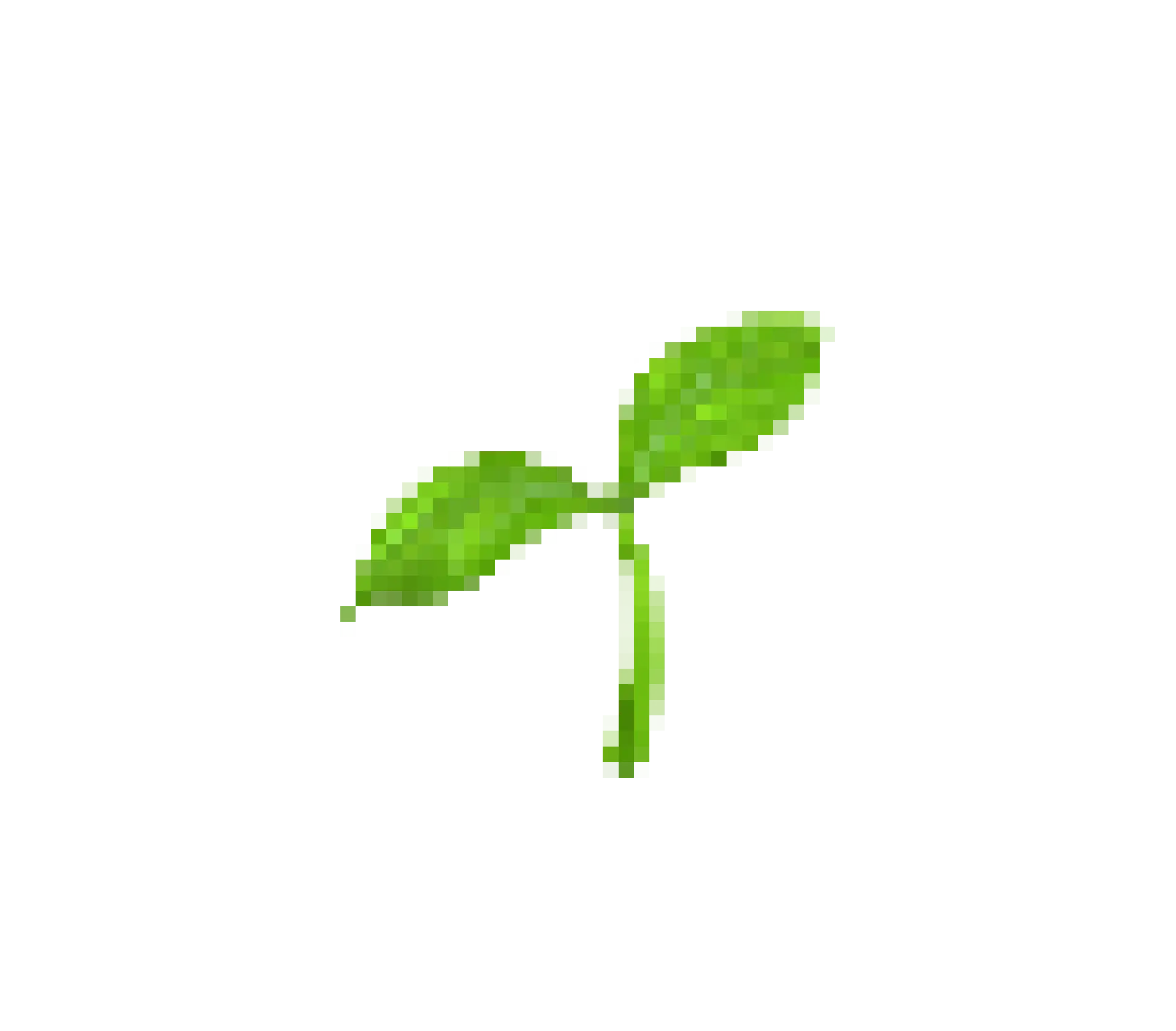 an 8 bit image of a seedling